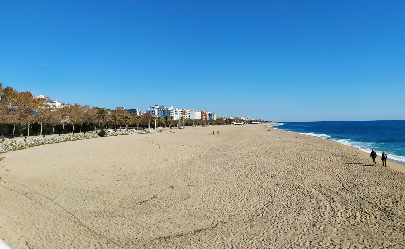 Calella Plajı'in fotoğrafı açık bej kum yüzey ile