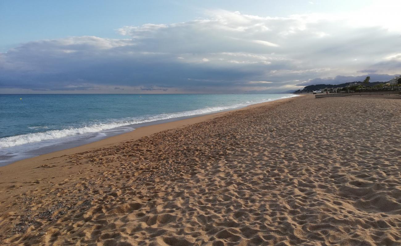 Platja dels Gossos'in fotoğrafı açık bej kum yüzey ile