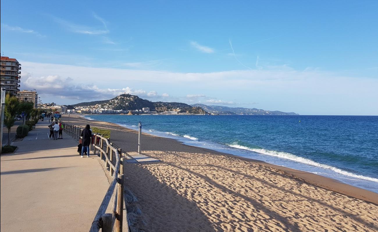 S'Abanell Beach'in fotoğrafı açık bej kum yüzey ile