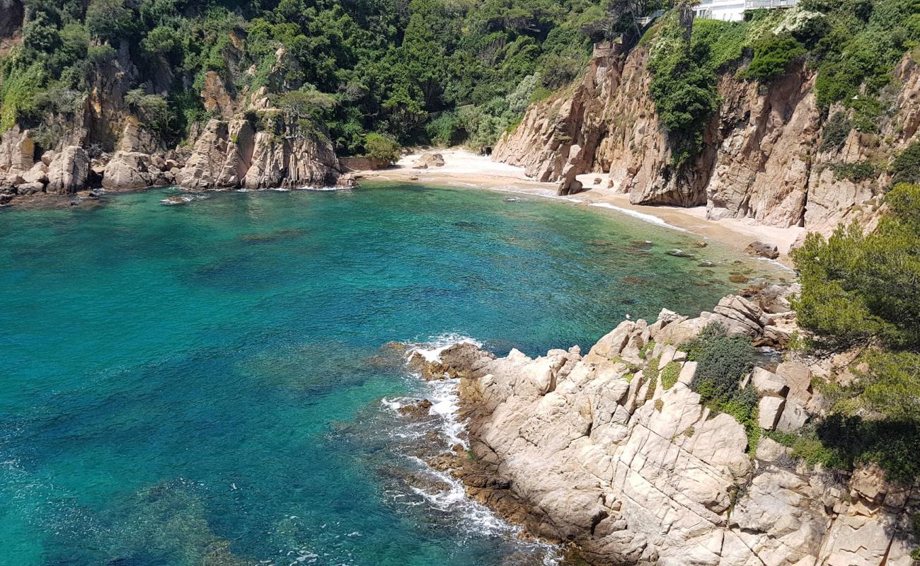 Cala Sa Forcanera'in fotoğrafı i̇nce bej kum yüzey ile