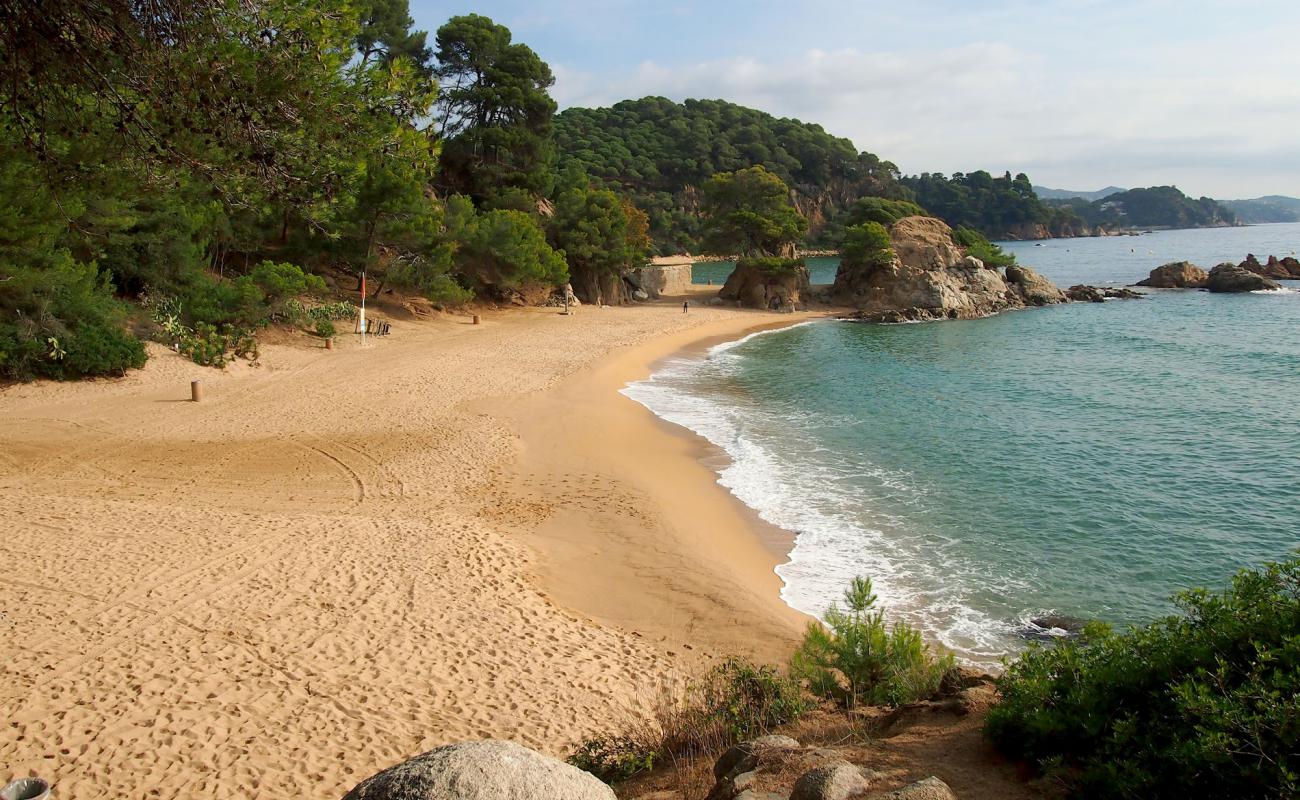 Cala Treumal Plajı'in fotoğrafı i̇nce bej kum yüzey ile