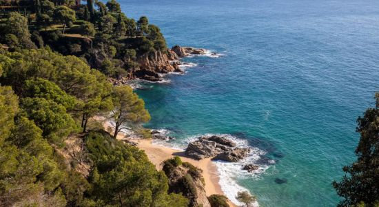 Cala Boadella Plajı