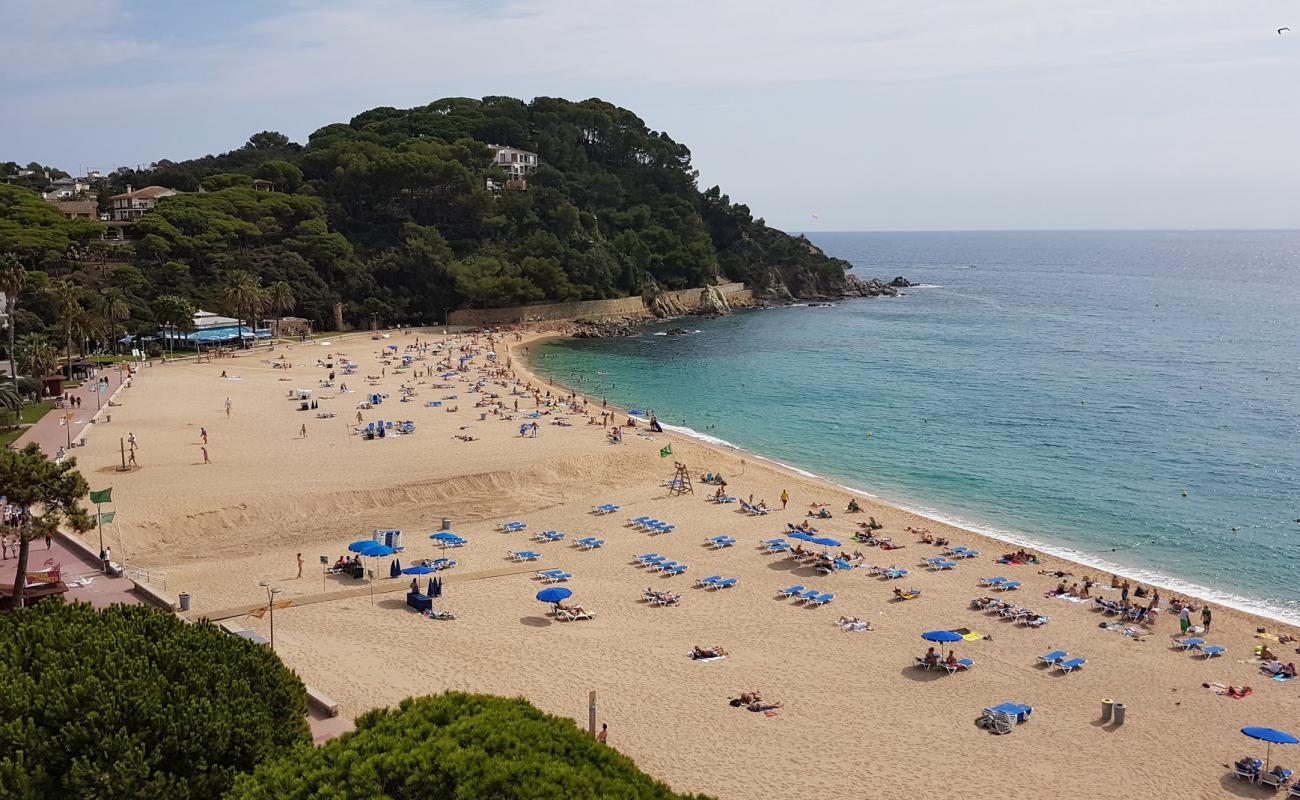 Platja de Fenals'in fotoğrafı i̇nce bej kum yüzey ile