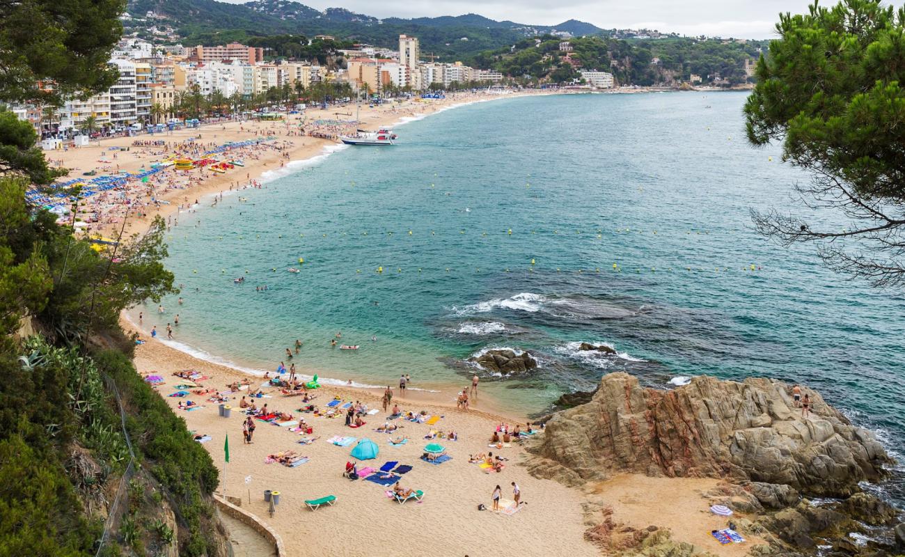 Platja de Lloret de Mar'in fotoğrafı parlak ince kum yüzey ile