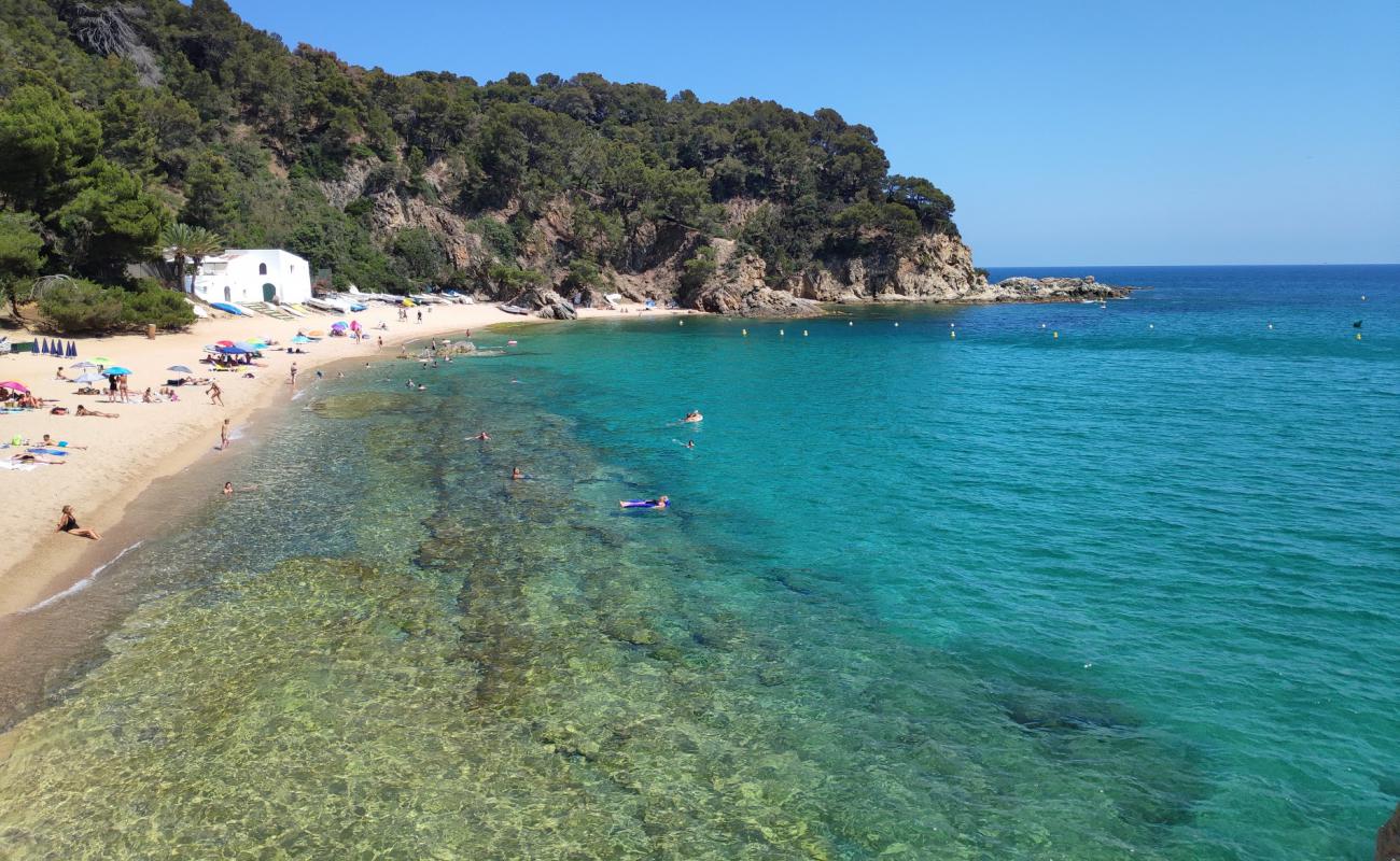 Canyelles Plajı'in fotoğrafı parlak ince kum yüzey ile