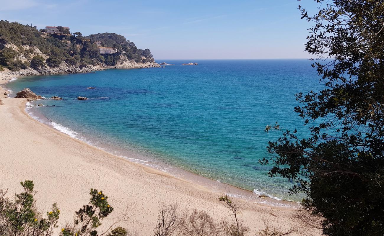 Santa Maria de Llorell Plajı'in fotoğrafı bej kabuklu kum yüzey ile