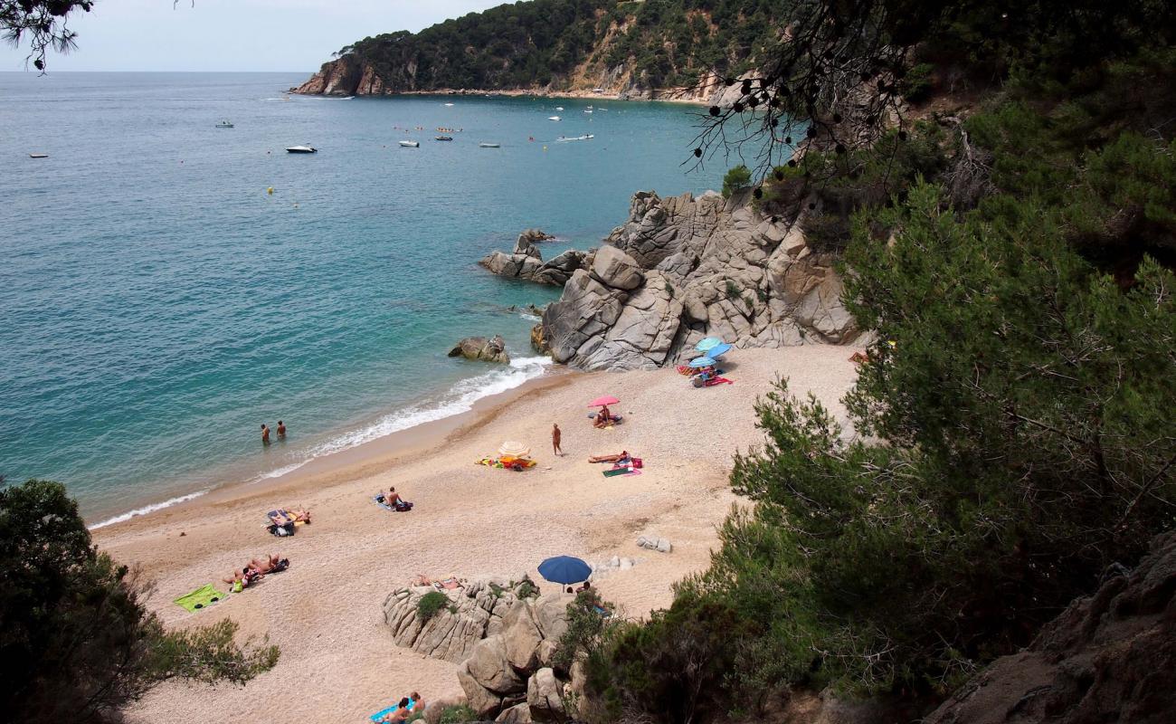 Cala Figuera'in fotoğrafı bej kabuklu kum yüzey ile