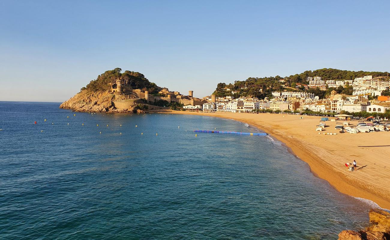 Tossa de Mar Plajı'in fotoğrafı bej kabuklu kum yüzey ile