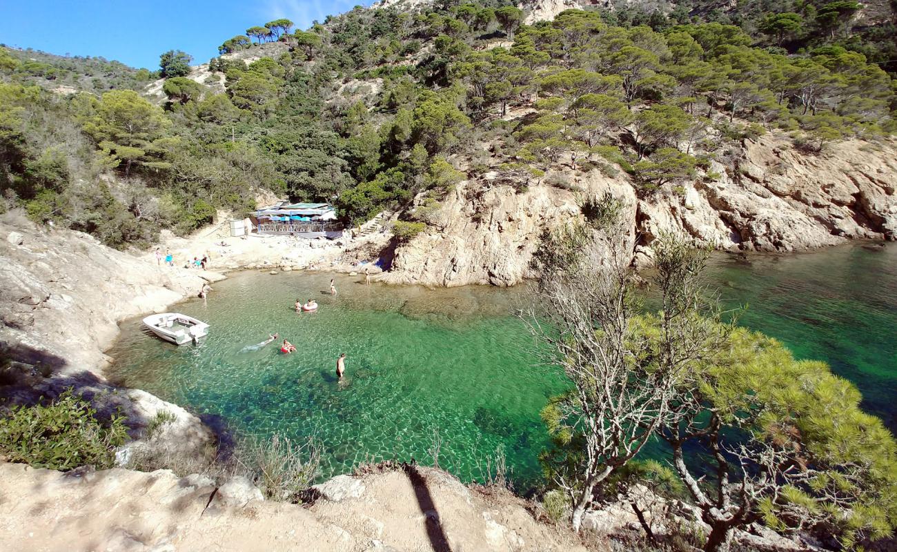 Cala Bona'in fotoğrafı kayalık arazi yüzey ile