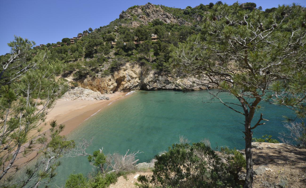 Cala Pola Plajı'in fotoğrafı parlak kabuk kumu yüzey ile