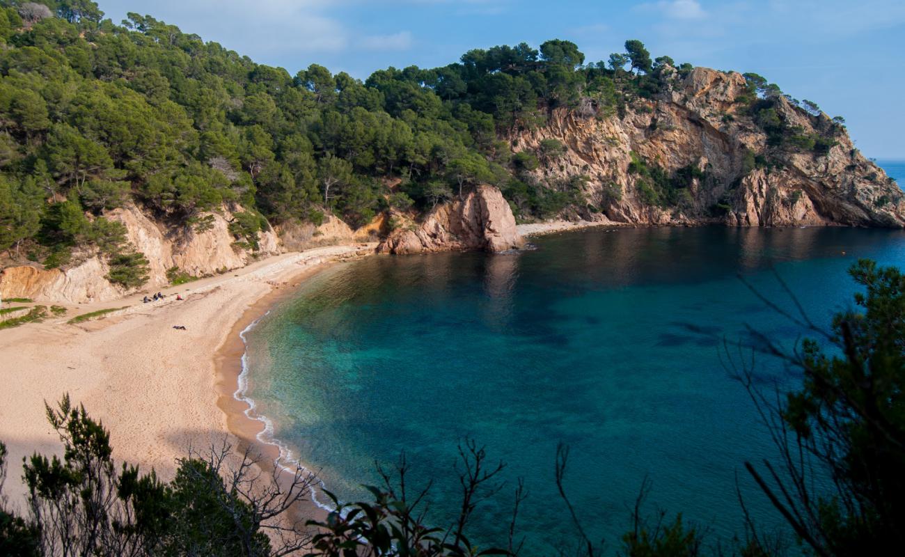 Cala Giverola Plajı'in fotoğrafı açık bej kum yüzey ile