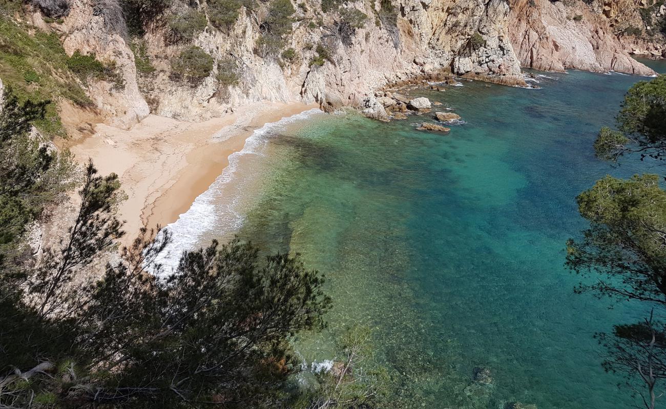 Cala Futadera'in fotoğrafı bej kabuklu kum yüzey ile