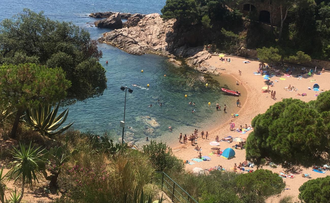 Cala Salionc'in fotoğrafı kahverengi deniz kabuğu kumu yüzey ile