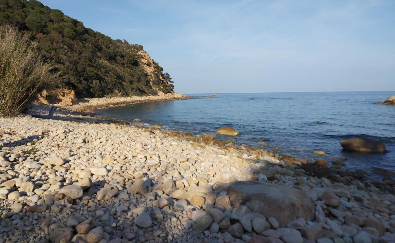 Platja de Vallpresona'in fotoğrafı kahverengi çakıl yüzey ile