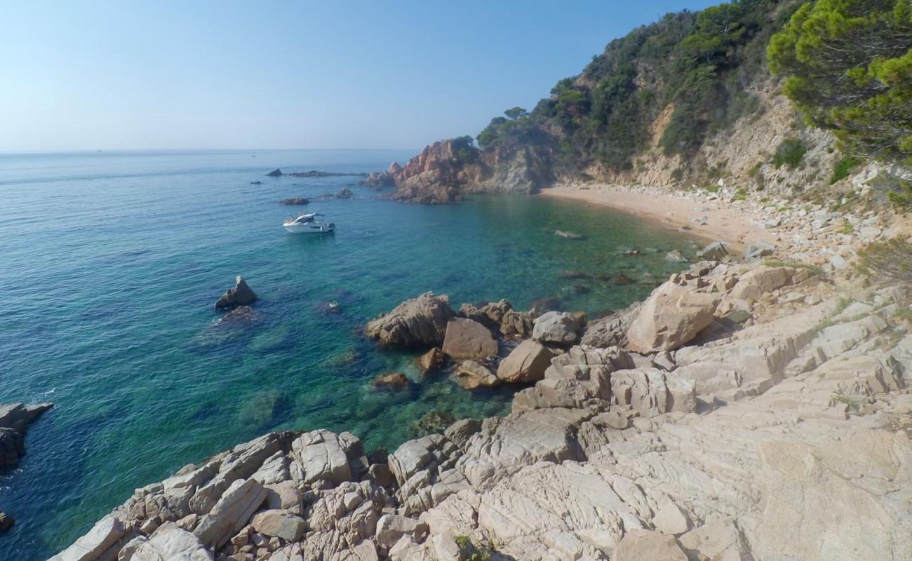 Platja de la Corcollada'in fotoğrafı parlak kabuk kumu yüzey ile