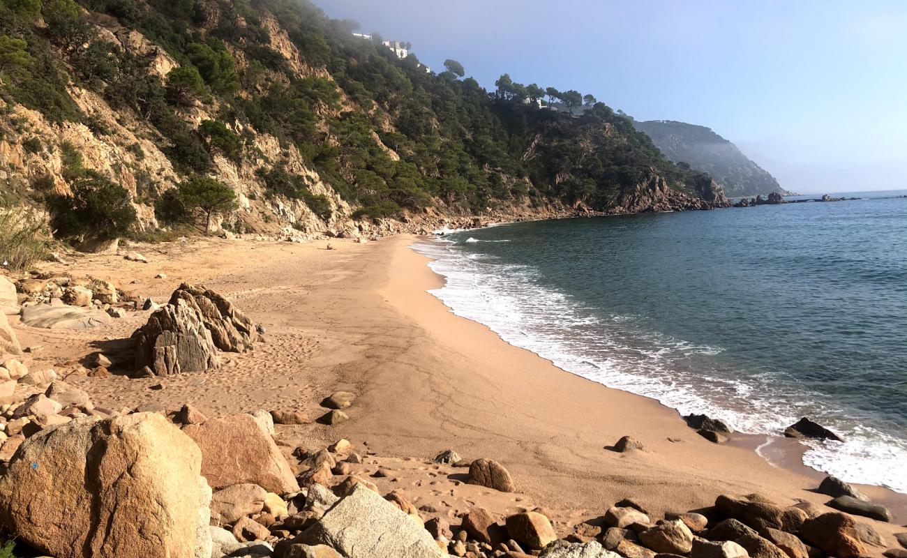 Cala Del Sr. Ramon Plajı'in fotoğrafı parlak kabuk kumu yüzey ile