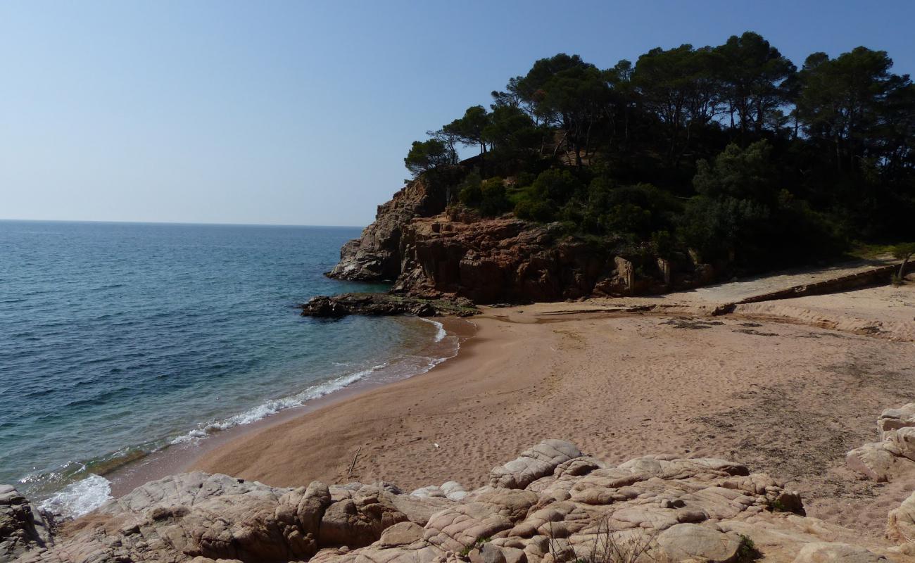 Platja dels Canyerets'in fotoğrafı bej kabuklu kum yüzey ile