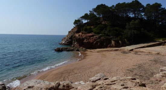 Platja dels Canyerets