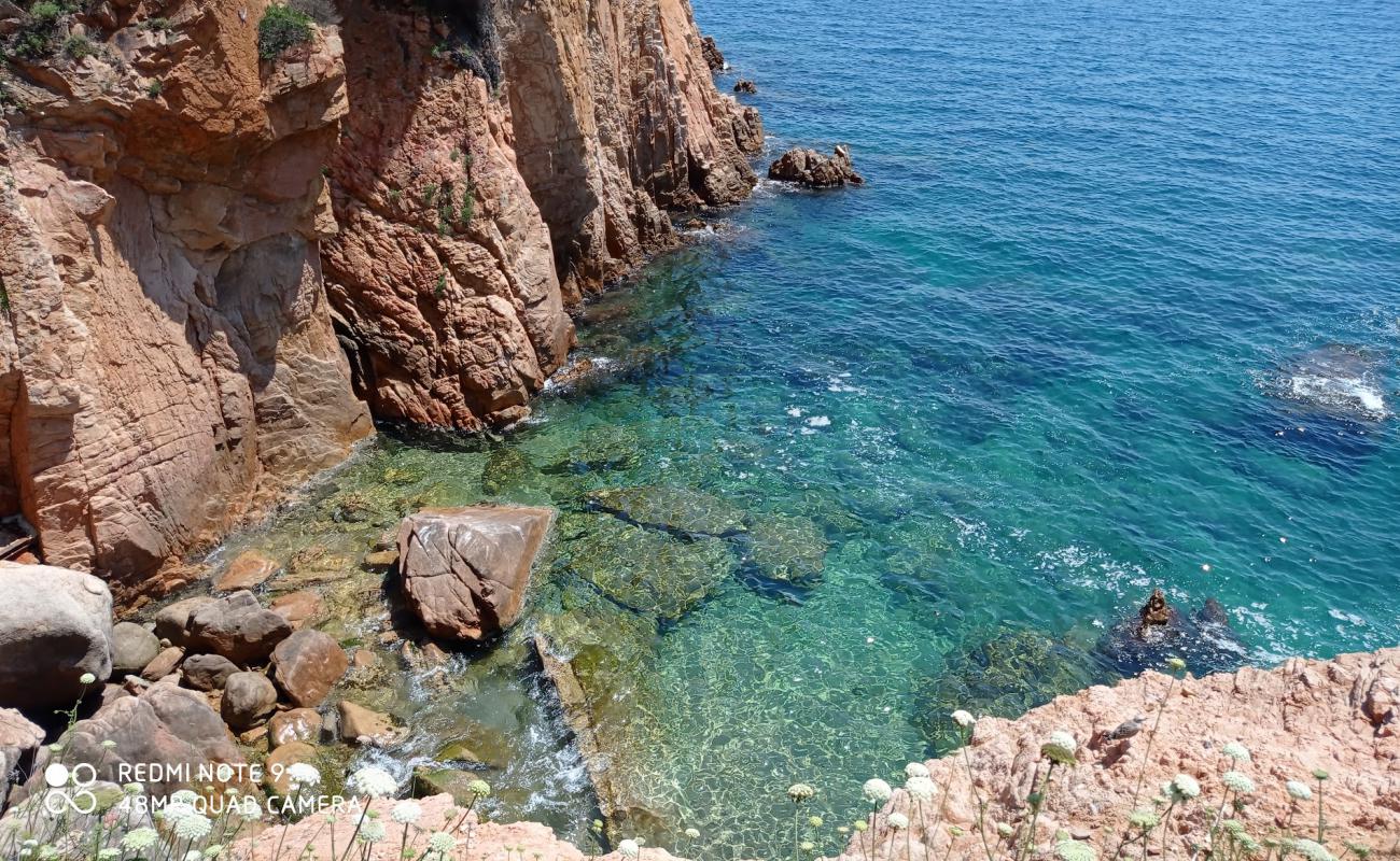 Cala Jonca'in fotoğrafı kayalık arazi yüzey ile