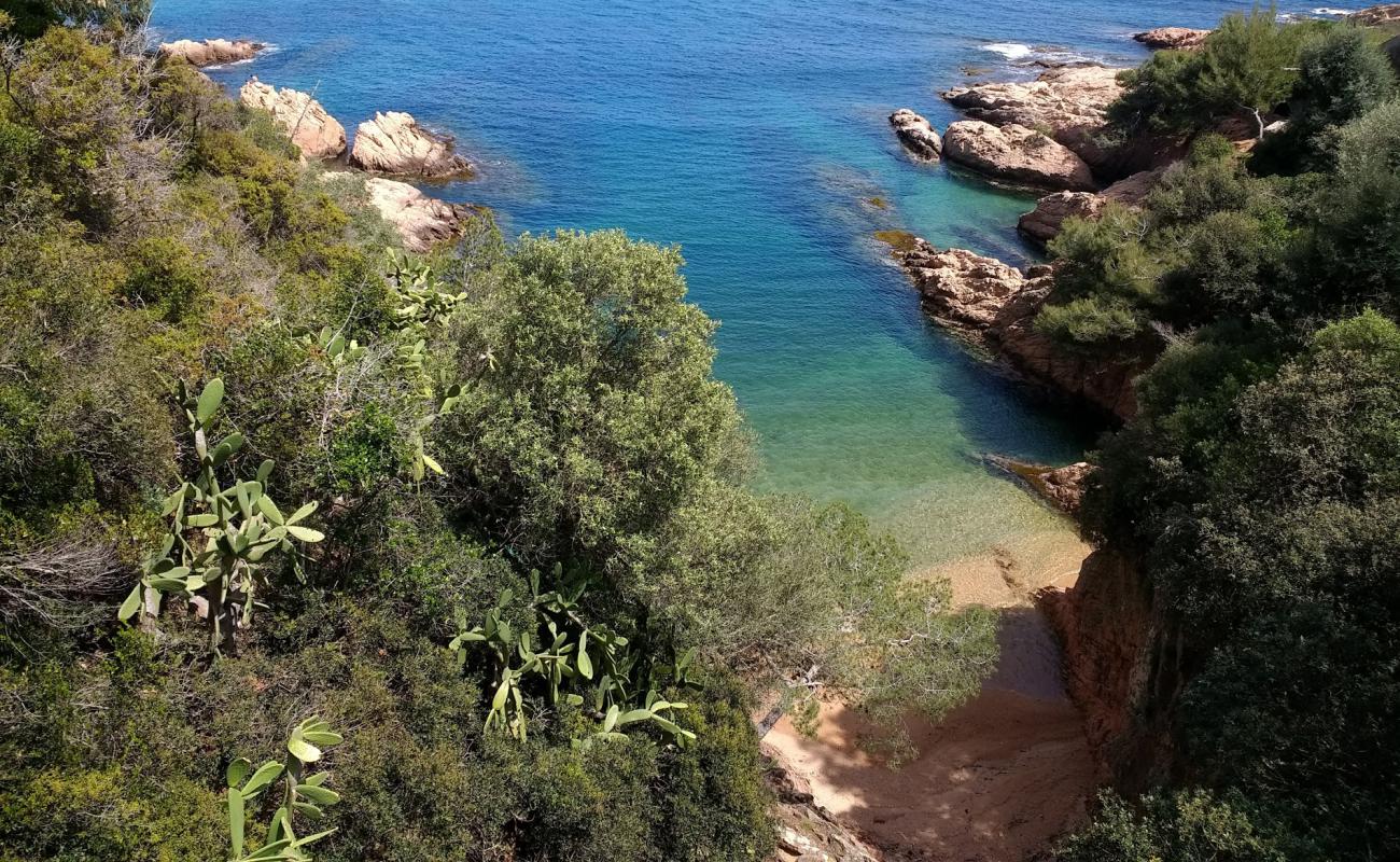Cala Maset'in fotoğrafı bej kum ve kayalar yüzey ile