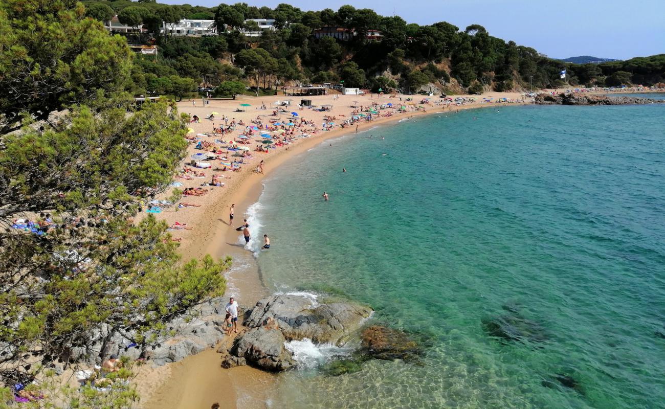 Cala Sa Conca Plajı'in fotoğrafı açık bej kum yüzey ile