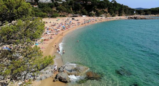 Cala Sa Conca Plajı