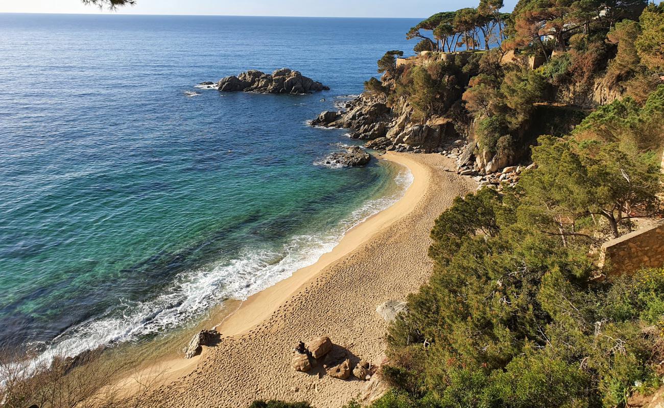 Cala Belladona'in fotoğrafı açık bej kum yüzey ile