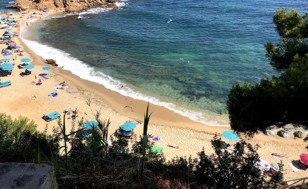 Cala Cap Roig'in fotoğrafı bej kum ve kayalar yüzey ile