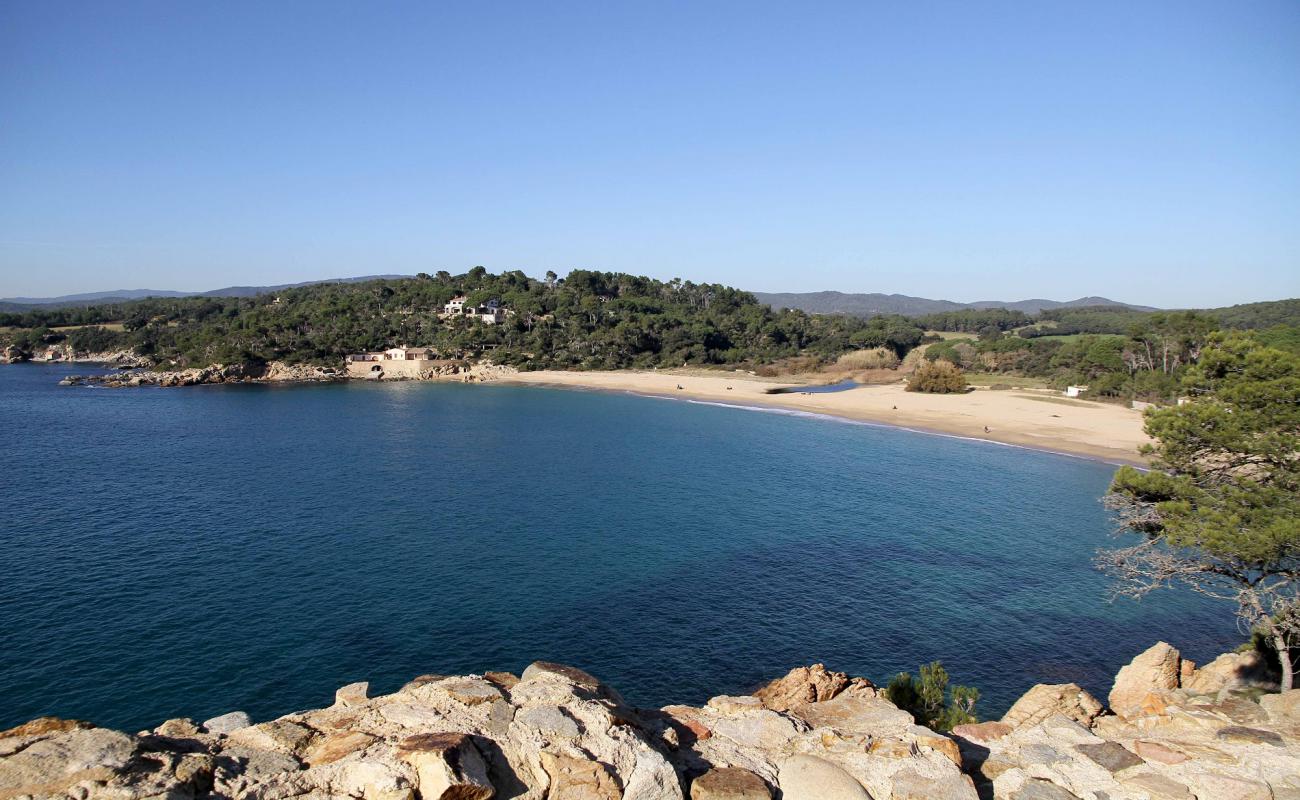Castell de la Fosca Plajı'in fotoğrafı açık bej kum yüzey ile