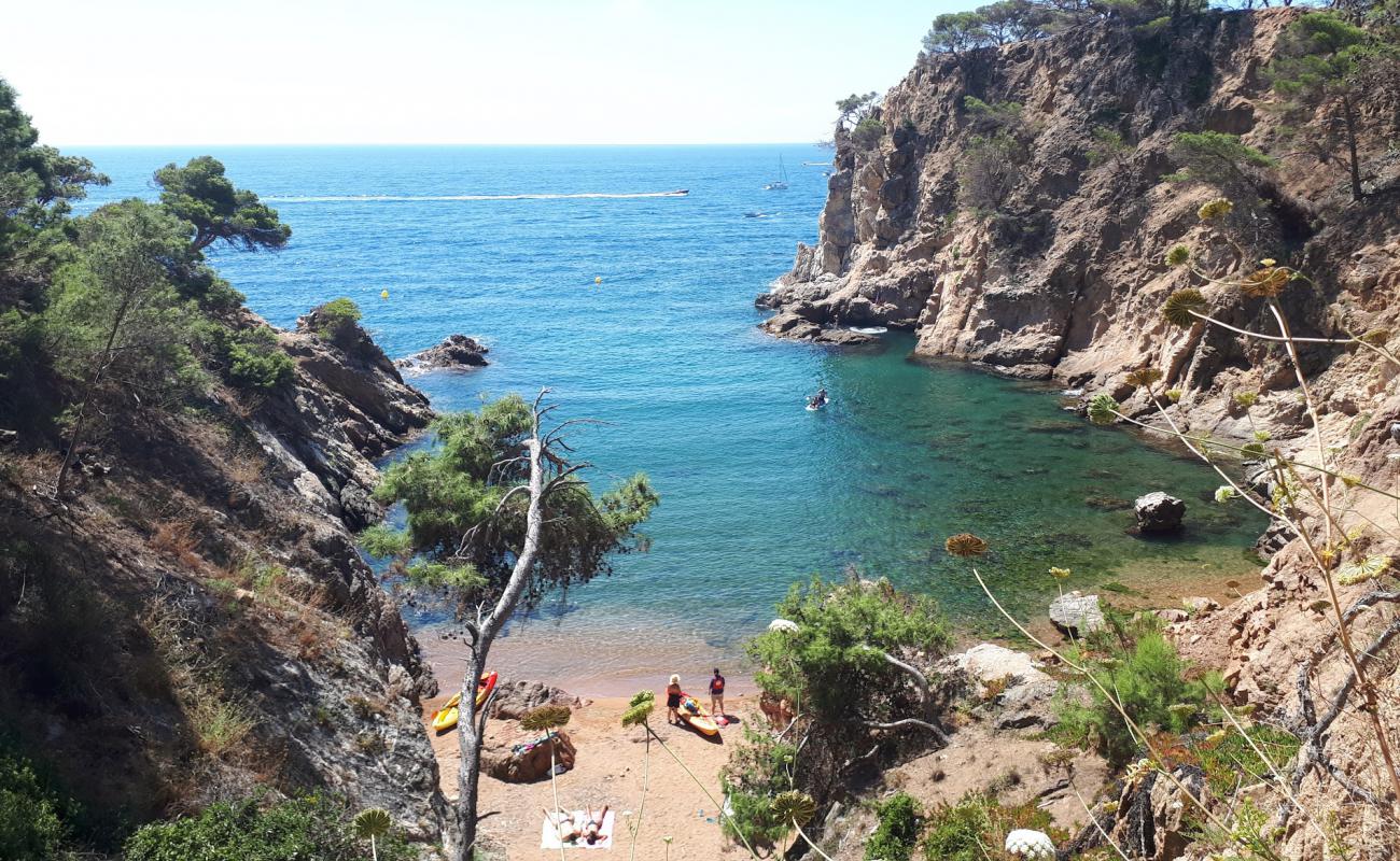 Cala Corbs'in fotoğrafı parlak kum ve kayalar yüzey ile