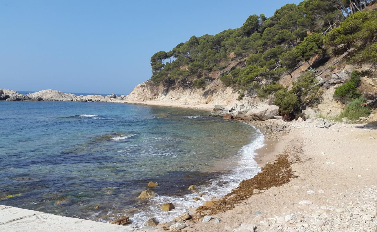 Cala Cap de Planes'in fotoğrafı bej kum ve kayalar yüzey ile