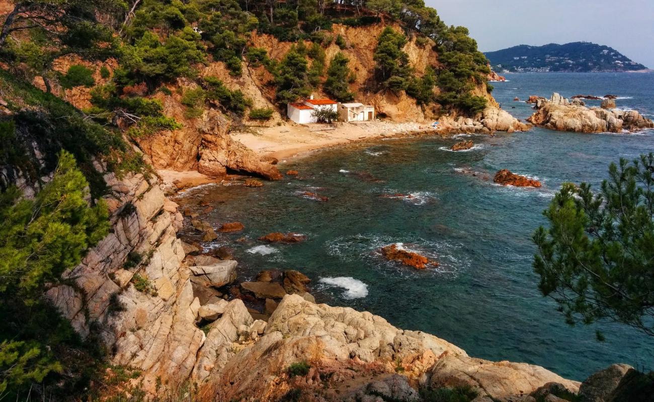Cala del Crit'in fotoğrafı bej kum ve kayalar yüzey ile