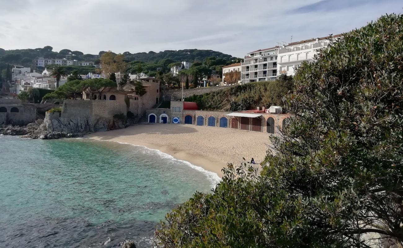 Platja Port Pelegri'in fotoğrafı açık bej kum yüzey ile