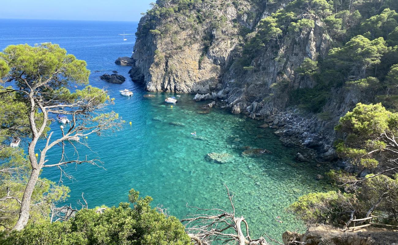 Cala Pedrosa'in fotoğrafı hafif çakıl yüzey ile