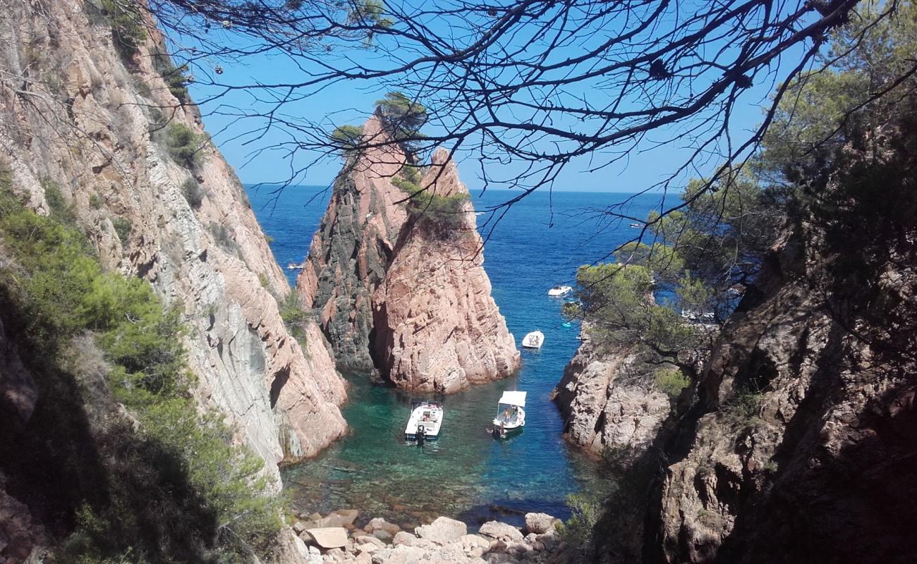 Cala Marquesa'in fotoğrafı bej kum ve kayalar yüzey ile