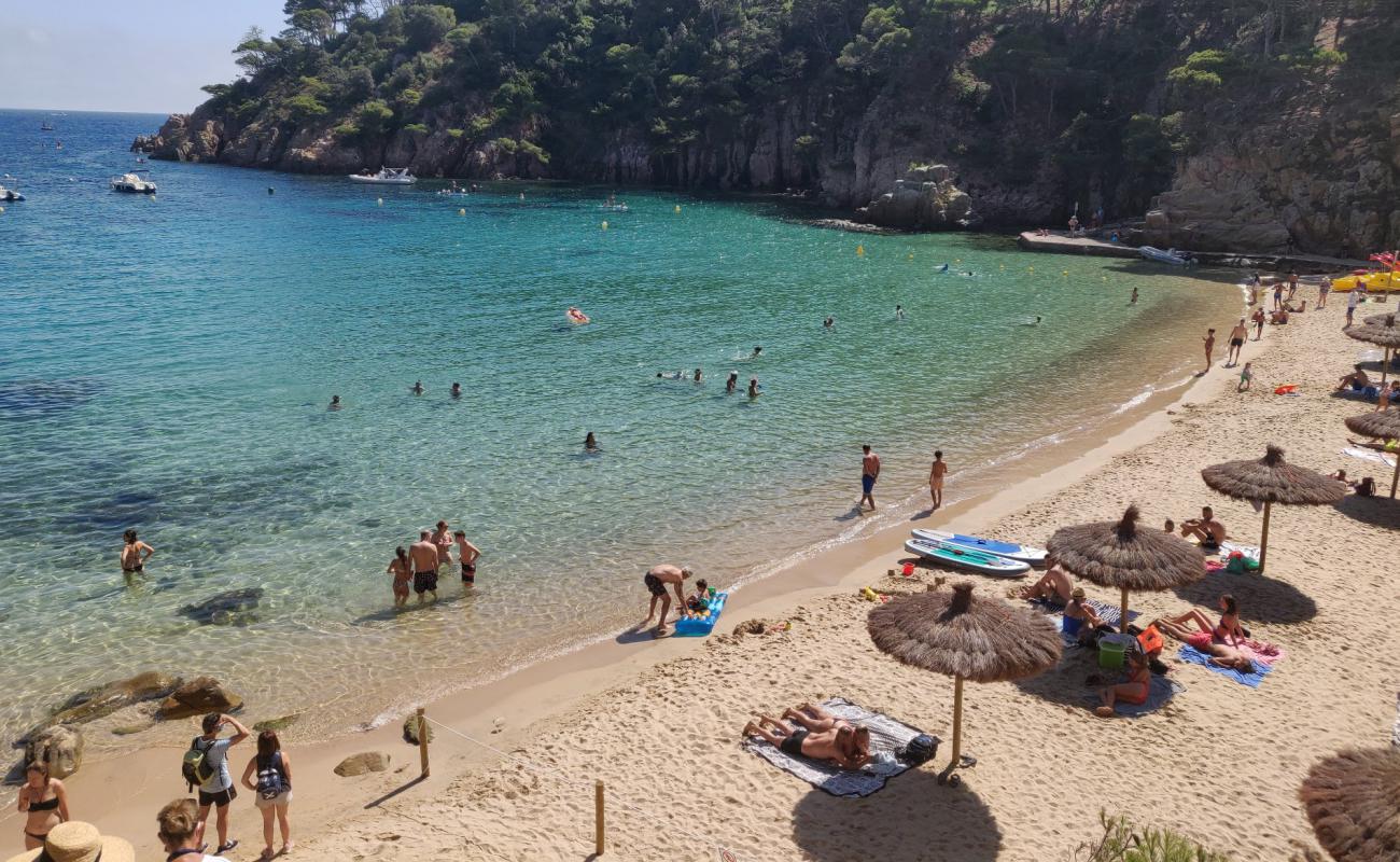 Aiguablava Plajı'in fotoğrafı açık bej kum yüzey ile