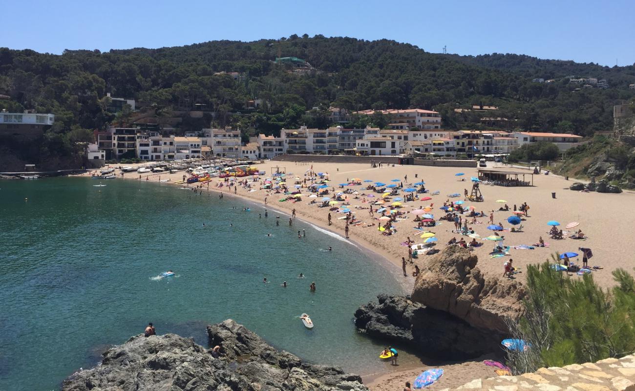 Platja de Sa Riera'in fotoğrafı açık bej kum yüzey ile