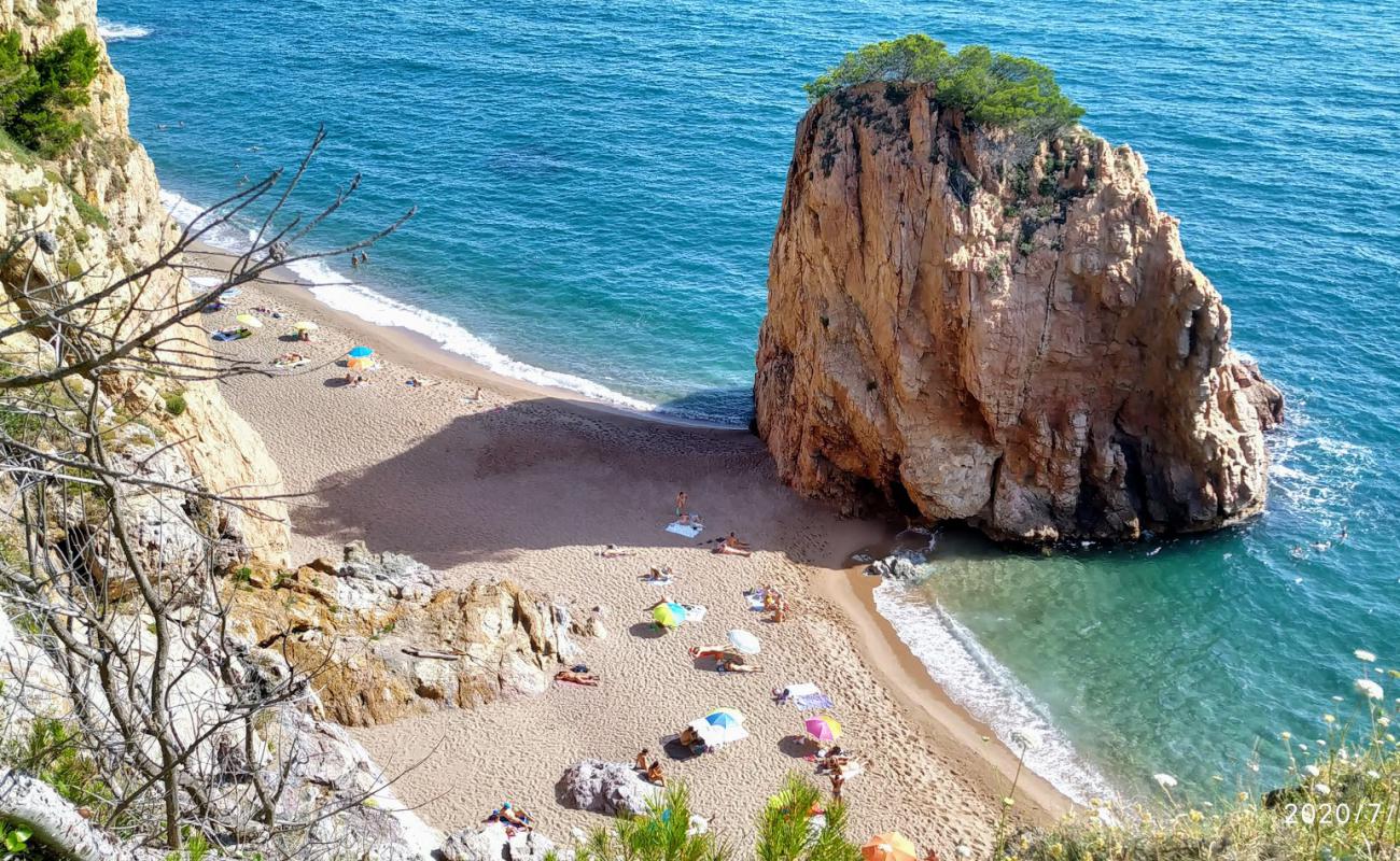 Platja de l'Illa Roja'in fotoğrafı küçük bej çakıl yüzey ile