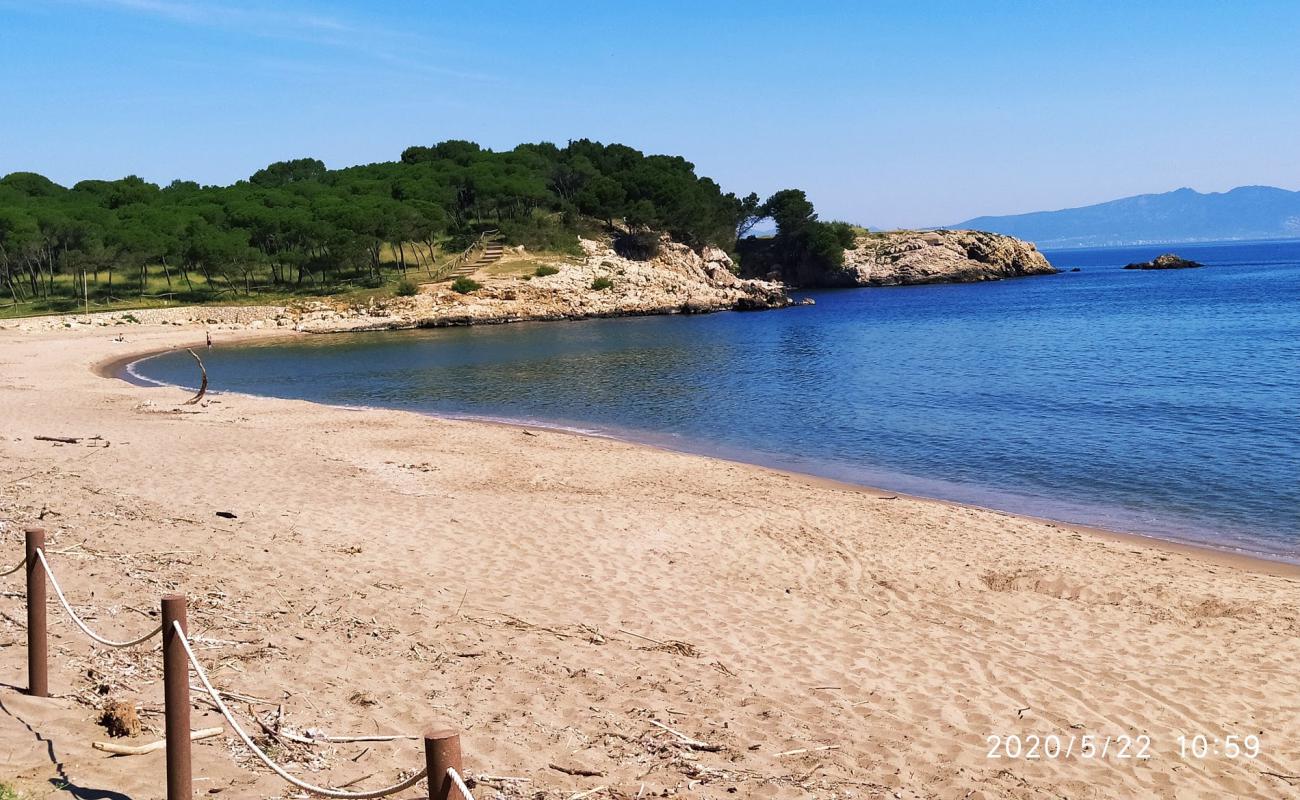 Platja El Rec del Moli'in fotoğrafı i̇nce kahverengi kum yüzey ile