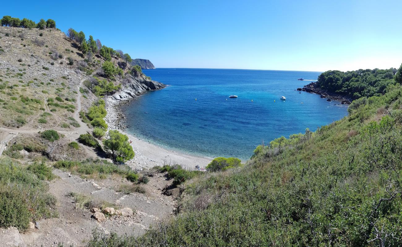 Platja Cala Murtra'in fotoğrafı taşlı kum yüzey ile