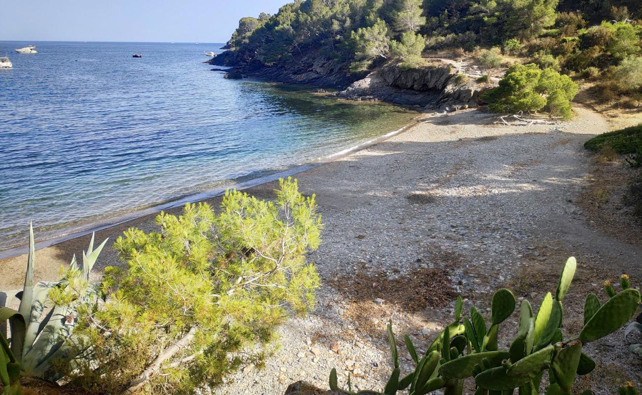 Calis Beach'in fotoğrafı küçük gri çakıllar yüzey ile