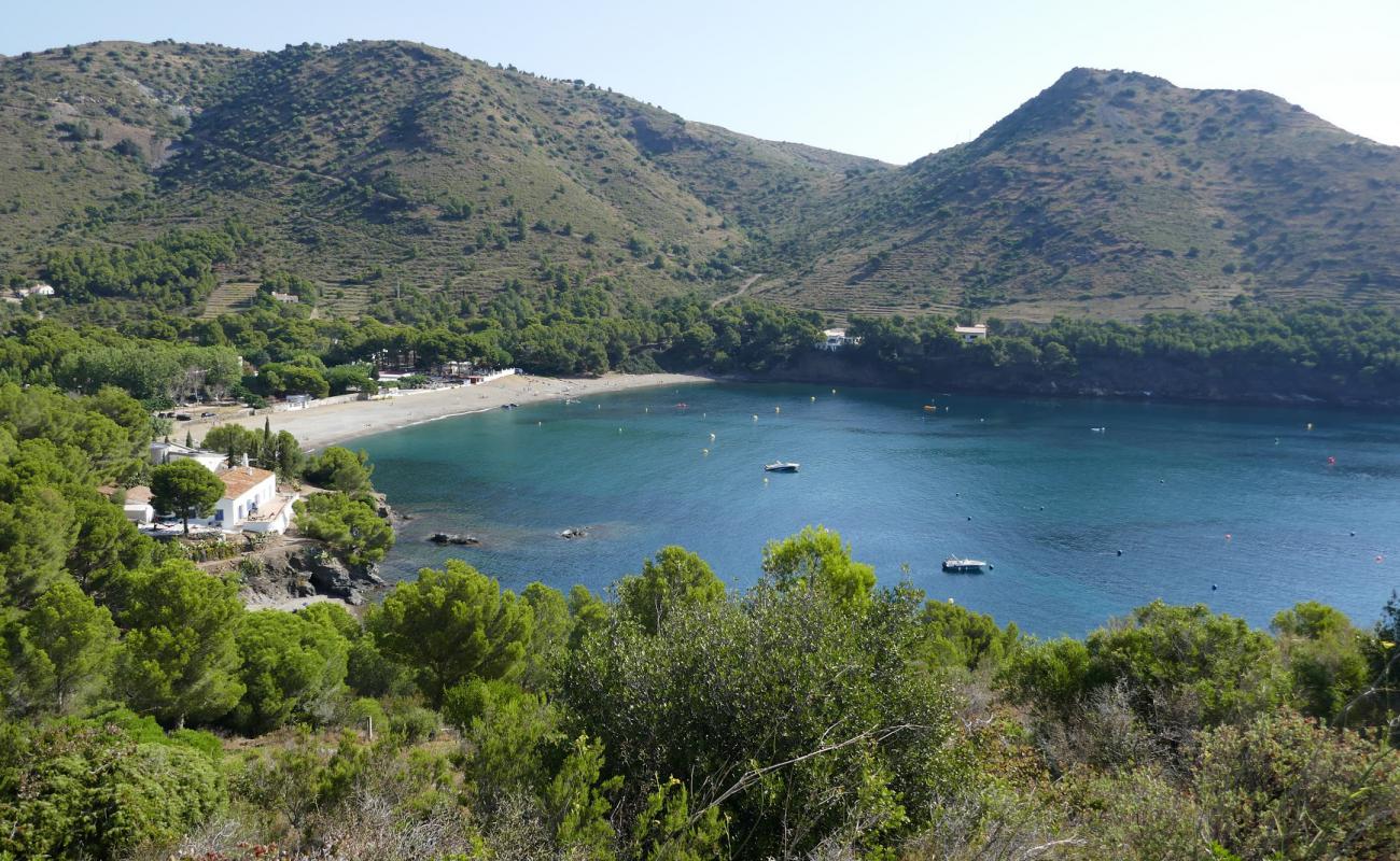 Cala Montjoi'in fotoğrafı gri kum ve çakıllar yüzey ile