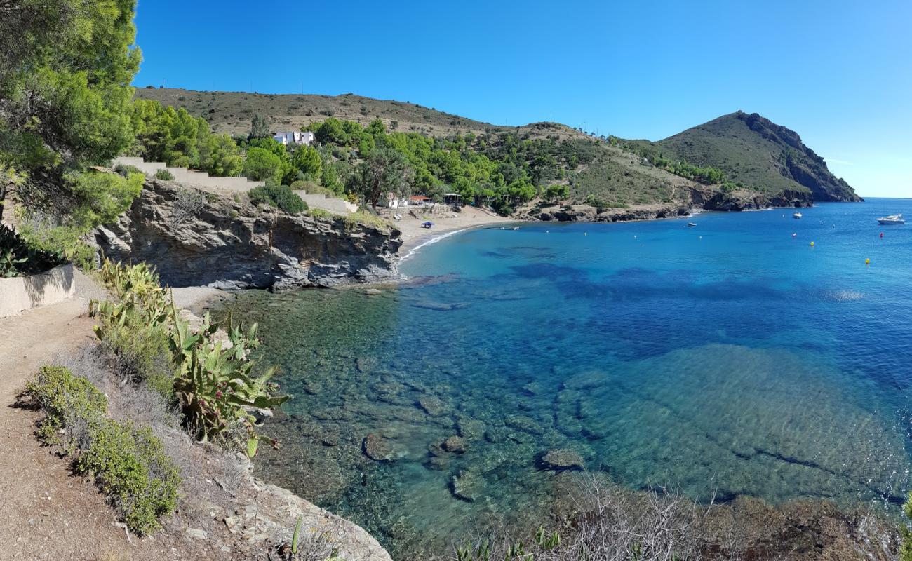 Cala Pelosa'in fotoğrafı açık bej kum yüzey ile