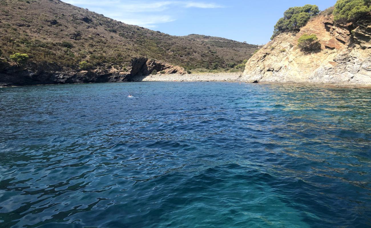 Cala Canadell'in fotoğrafı taşlı kum yüzey ile