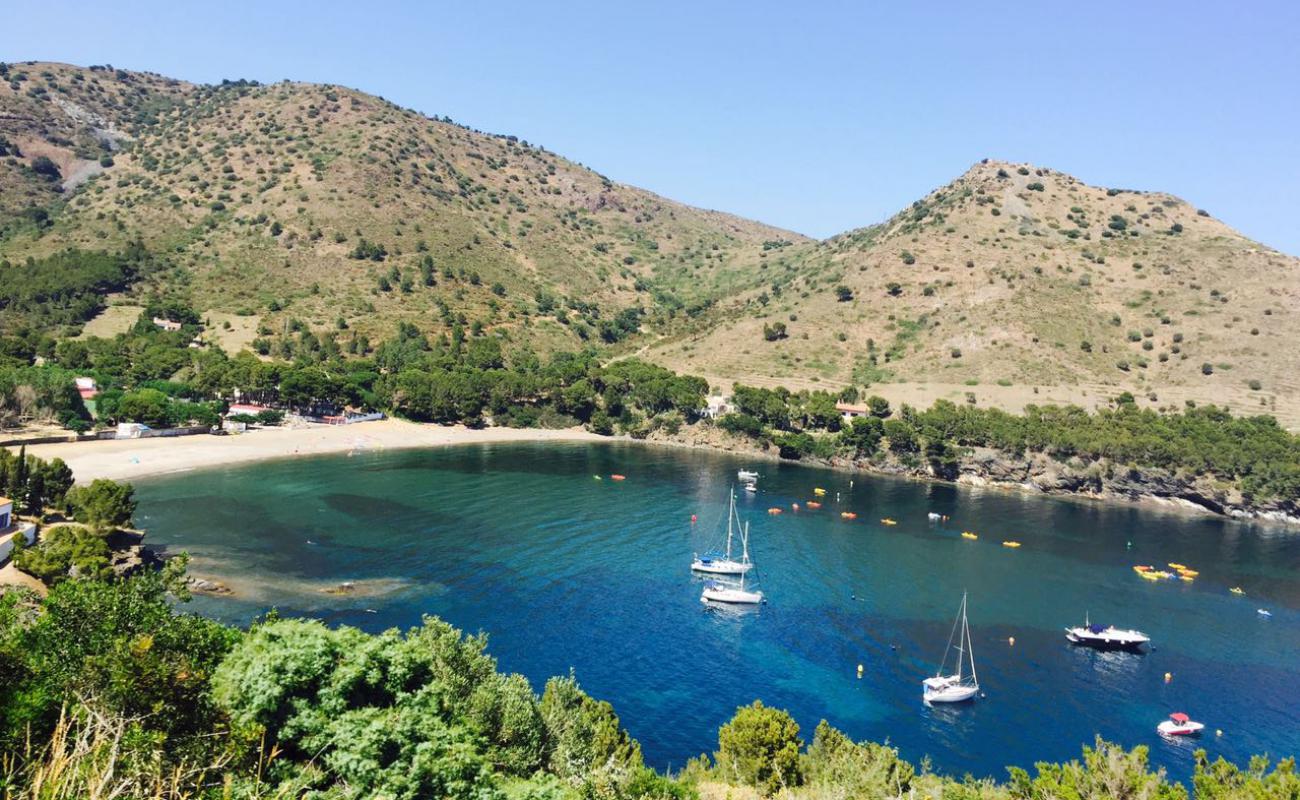 Platja de Joncols'in fotoğrafı gri kum ve çakıllar yüzey ile