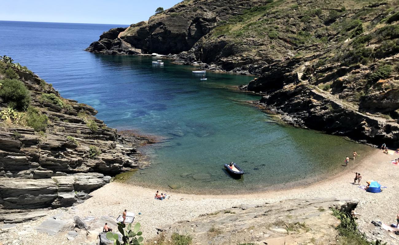 Sa sabolla'in fotoğrafı gri çakıl taşı yüzey ile