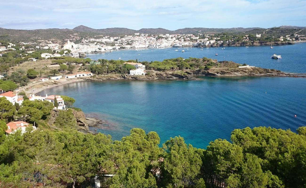 Platja sa Conca'in fotoğrafı taşlı kum yüzey ile