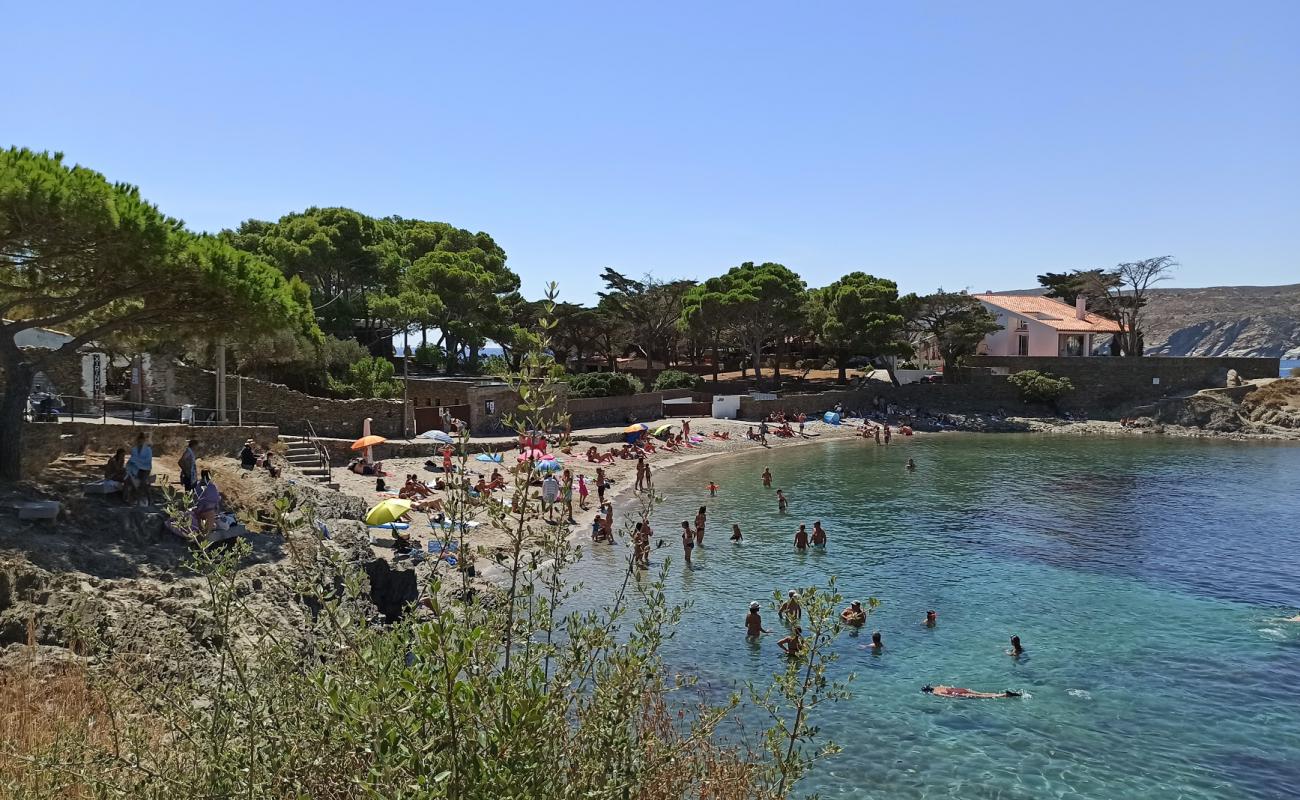Platja del Ros'in fotoğrafı bej kum ve çakıl yüzey ile