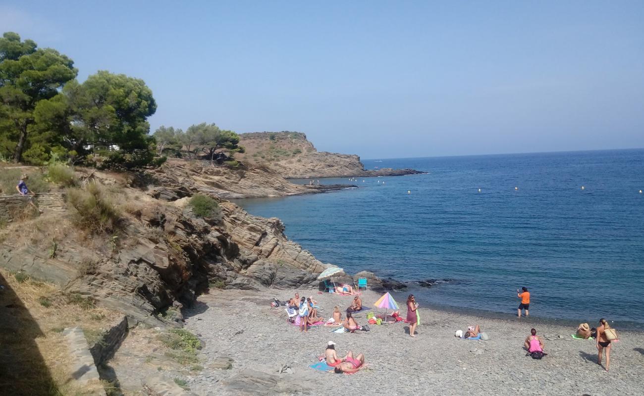 Platja de s'Alqueria'in fotoğrafı küçük gri çakıllar yüzey ile