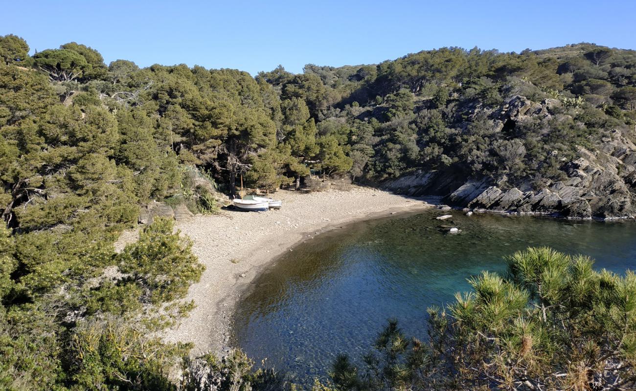 Platja Guillola'in fotoğrafı gri çakıl taşı yüzey ile